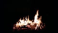 Bonfire Royalty Free Stock Photo