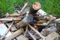 Bonfire. firewood in the fire in the evening. camping