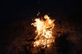 Bonfire flame burning campfire, night view