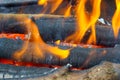 Bonfire with flame, smoke, wooden charcoals embers. Royalty Free Stock Photo