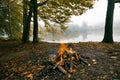 Bonfire in forest on the bank of lake, cold autumn evening, panoramic view Royalty Free Stock Photo