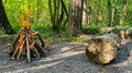Bonfire in the forest. Camp Fire in the forest, flames and sparks, beautiful nature Royalty Free Stock Photo