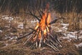 Bonfire in the forest. Hiking in the wild forest concept. Late fall