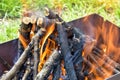 Bonfire made of branches of fruit trees. Flame flutters in wind. Green grass shines through the flames. Royalty Free Stock Photo