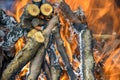 Bonfire made of branches of fruit trees. Flame flutters in wind. Process of preparing coals for barbecue. Close-up. Royalty Free Stock Photo