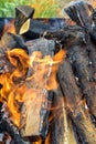 Bonfire made of branches of fruit trees. Flame flutters in wind. Process of preparing coals for barbecue on green lawn. Royalty Free Stock Photo