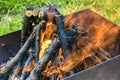 Bonfire made of branches of fruit trees. Flame flutters in wind. Process of preparing coals for barbecue on green lawn. Royalty Free Stock Photo