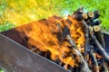 Bonfire made of branches of fruit trees. Flame flutters in wind. Process of preparing coals for barbecue on green lawn. Royalty Free Stock Photo