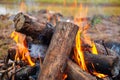 Bonfire made of pine sticks and branches is burning with bright orange warm warming flame with shining sparks, in open forest in Royalty Free Stock Photo