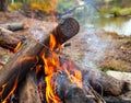 Bonfire made of pine sticks and branches is burning with bright orange warm warming flame with shining sparks, in open forest in Royalty Free Stock Photo