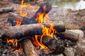 Bonfire made of pine sticks and branches is burning with bright orange warm warming flame with shining sparks, in open forest in Royalty Free Stock Photo