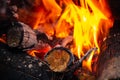 Bonfire made of pine sticks and branches is burning with bright orange warm warming flame with shining sparks, in open forest in Royalty Free Stock Photo