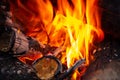 Bonfire made of pine sticks and branches is burning with bright orange warm warming flame with shining sparks, in open forest in Royalty Free Stock Photo