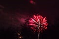 Conkers in The National Forest Fireworks