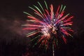 Conkers in The National Forest Fireworks