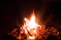 Bonfire night. Royalty Free Stock Photo