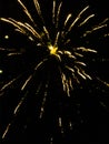 Firework exploding into golden lights Royalty Free Stock Photo