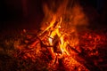 Bonfire at night in the forest, sparks from a fire, Night campfire Royalty Free Stock Photo