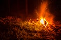 Bonfire at night in the forest, sparks from a fire, Night campfire, Night campfire with available space Royalty Free Stock Photo