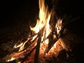 Bonfire in the night. Log fire. Campfire, burning logs
