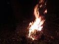 a bonfire at night photo Royalty Free Stock Photo