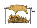 Bonfire pork sketch vector illustration