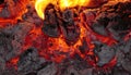 Bonfire red heat close up Royalty Free Stock Photo