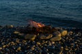 Bonfire on the sea rocks