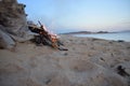 Bonfire on the seashore Royalty Free Stock Photo
