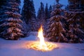 Bonfire on snow