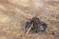 Bonfire in the spring forest on the background of withered grass. Royalty Free Stock Photo