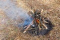 Bonfire in the spring forest on the background of withered grass. Royalty Free Stock Photo