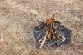 Bonfire in the spring forest on the background of withered grass. Royalty Free Stock Photo