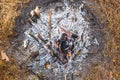 Bonfire in the spring forest on the background of withered grass Royalty Free Stock Photo