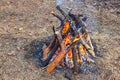 Bonfire in the spring forest on the background of withered grass Royalty Free Stock Photo