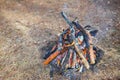 Bonfire in the spring forest on the background of withered grass Royalty Free Stock Photo