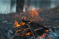 Bonfire in the spring on the nature. Royalty Free Stock Photo