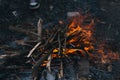 Bonfire in the spring on the nature. Royalty Free Stock Photo