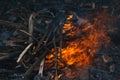 Bonfire in the spring on the nature. Royalty Free Stock Photo