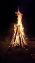 Bonfire on a spring night Royalty Free Stock Photo
