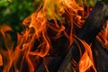 Bonfire on summer day in forest trees on picnic coocking food Royalty Free Stock Photo