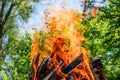 Bonfire on summer day in forest trees on picnic coocking food Royalty Free Stock Photo