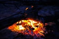 Bonfire in a summer night, burning log