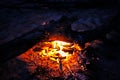 Bonfire in a summer night, burning log