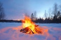 a bonfire surrounded by untouched winter snow