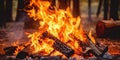 Bonfire of wood burning in the forest , concept of Forest ecosystem, created with Generative AI technology Royalty Free Stock Photo