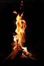 Bonfire with wood stock images.