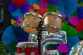 Bongos, bongo drum Royalty Free Stock Photo
