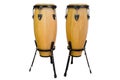 Bongos isolated on white background Royalty Free Stock Photo