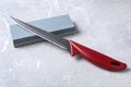 Boning knife and sharpening stone